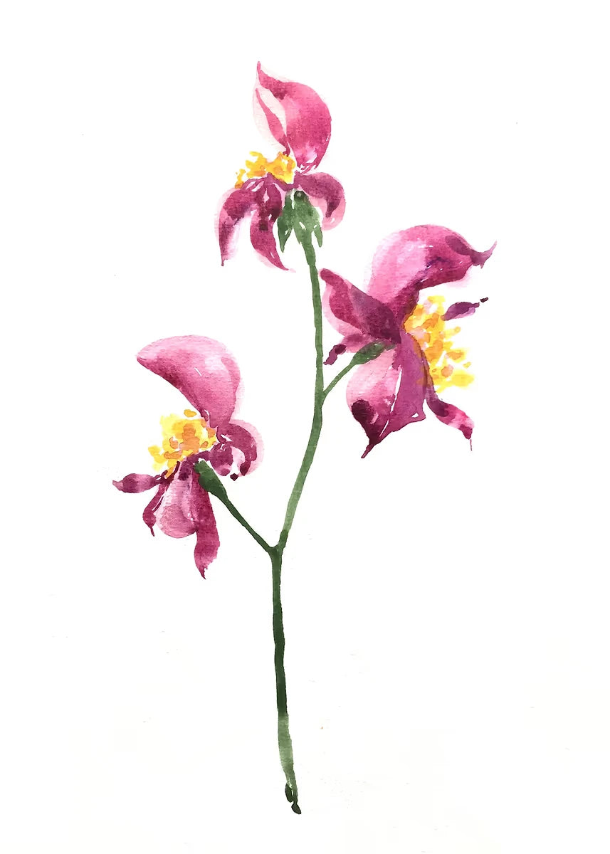 Watercolor Floral Canvas Wall Art Print | Unframed Poster