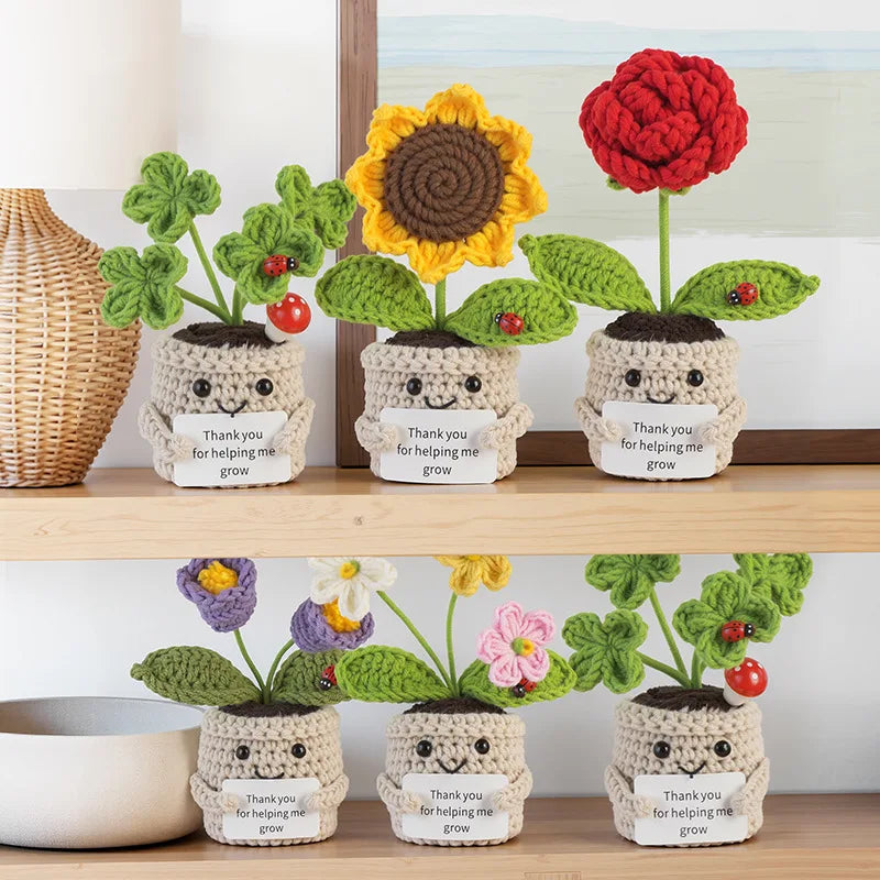 Emotional Support Crochet Flower Pot | Handmade Knitted Gift