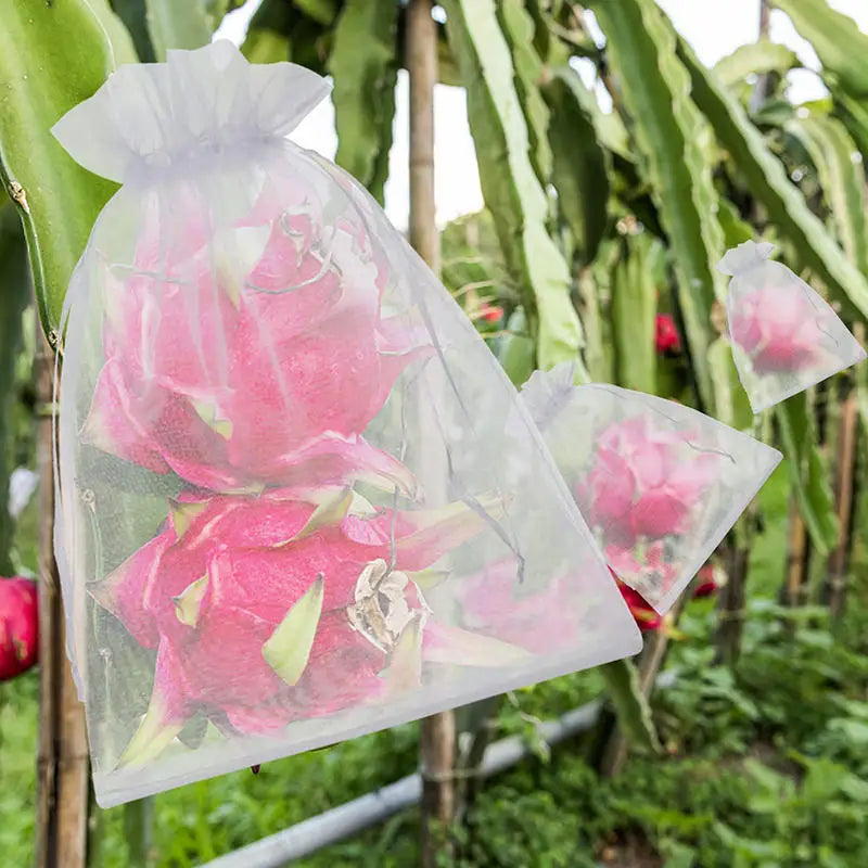 50/100Pcs/Pack White Fruit Protection Bags Organza Reusable Drawstring Pocket Garden Fruit Mesh Bag Peaceful Pleasures Health and Wellness