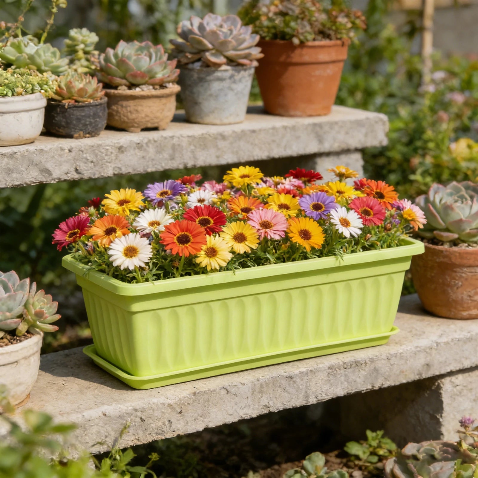 Plastic Vegetable Planters Rectangular Flowerpots For Balcony Indoor Gardening Breathable Plants Pots Garden Tools Peaceful Pleasures Health and Wellness