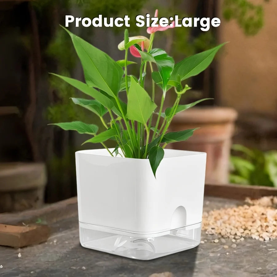 Clear Self-Watering Planter | Wicking Pot with Watering Bottle