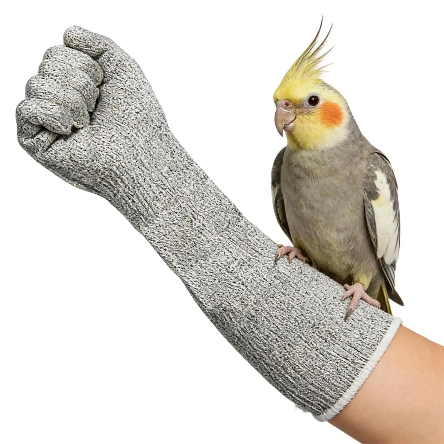 Bite Proof Cat Gloves Scratch Resistant Multipurpose Guard Thick Puncture Resistant Pet Handling Gloves For Grooming Vet Safety Peaceful Pleasures Health and Wellness