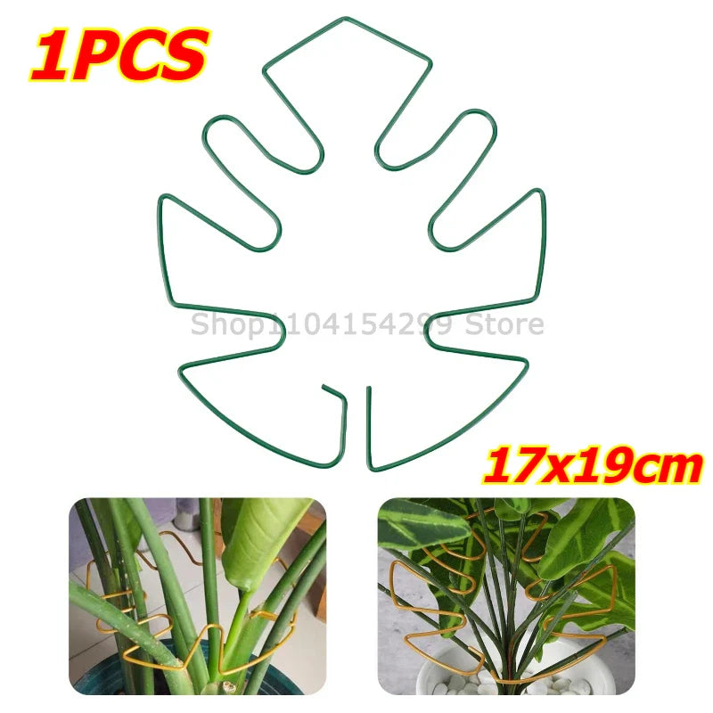 Large Monstera Plant Support Frame – Stem Climbing Stabilizer