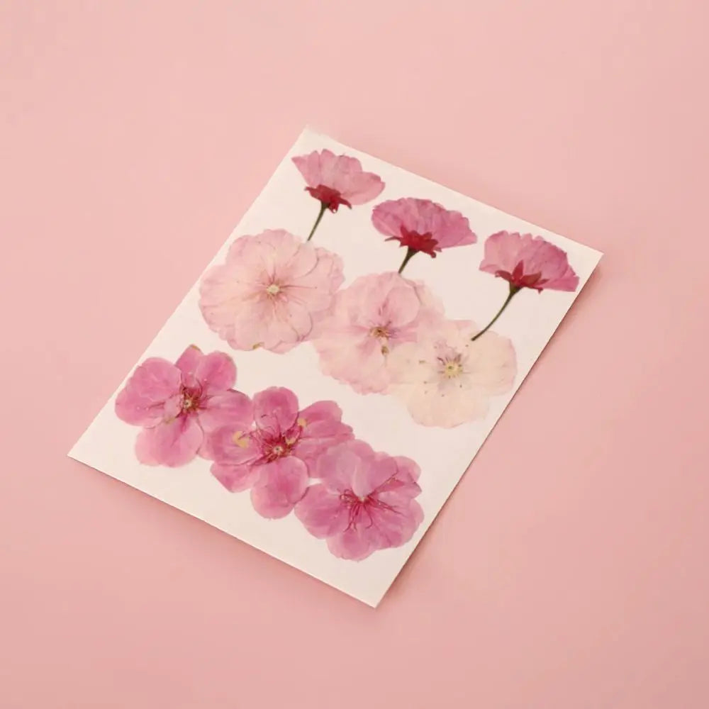 DIY Materials DIY Dried Flower Bookmarks Pressed Flower PET Dried Flower Stickers Handmade Transparent Flower Page Bookmark Kids Peaceful Pleasures Health and Wellness