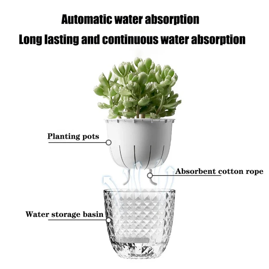 Self-Watering Plant Pots with Reservoir – Double Layer Clear Planter for African Violets & Indoor Plants