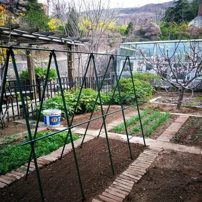 6-Pack A-Type Plant Support Clips | Vine Bracket Connector
