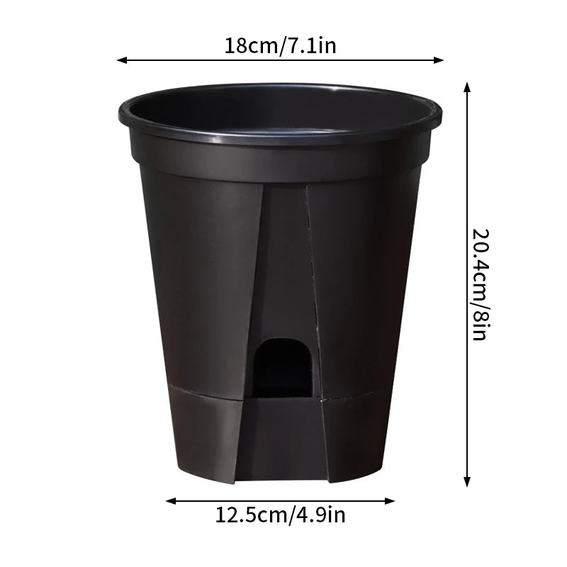 Self-Watering Transparent Orchid Pot | Double Layer Hydroponic