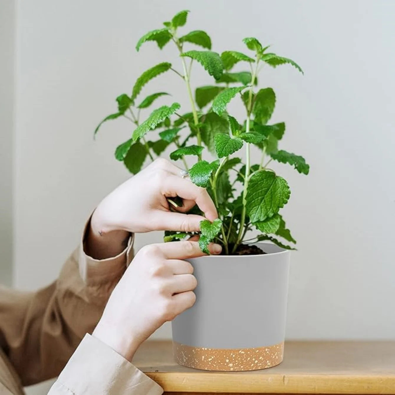 2-Pack Indoor Outdoor Planters with Drainage Holes & Saucer
