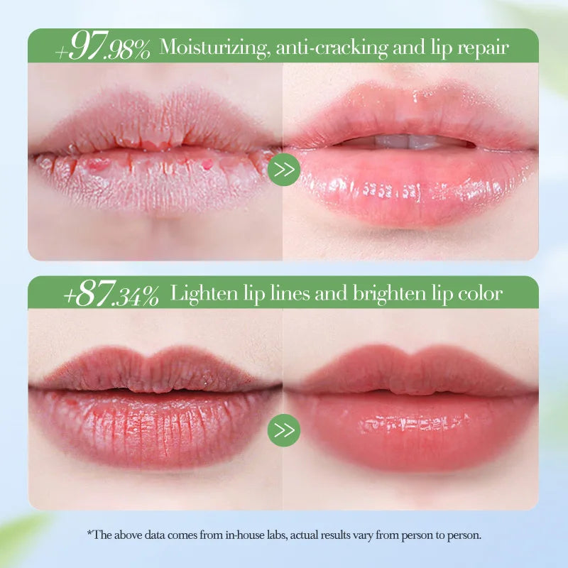 Avocado Lip Balm – Moisturizing, Nourishing & Repairing