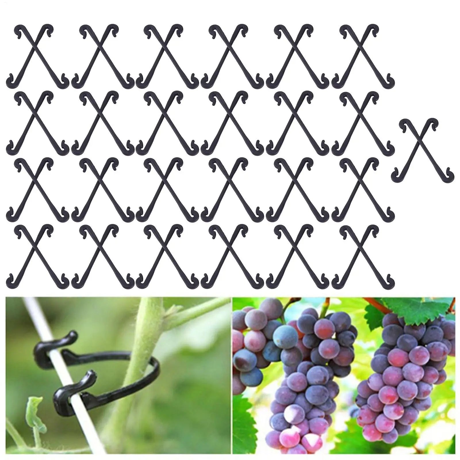 Trellis Clips 50pcs Heavy Duty Weather-Resistant Garden Plant Clips For Raspberry Grape Dragon Fruit Tomato Rose Kiwi Outdoor Peaceful Pleasures Health and Wellness