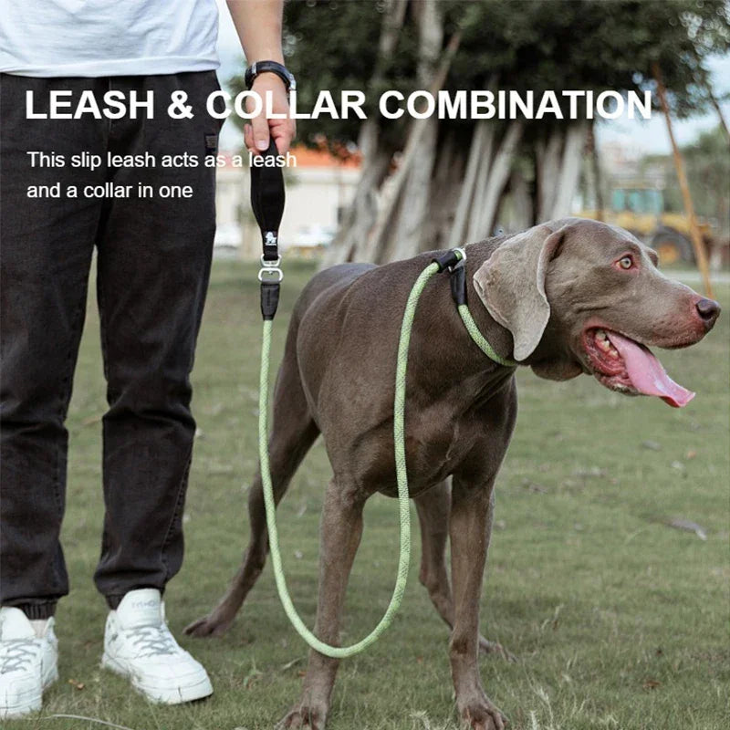 Truelove Slip Lead Training Leash for Dogs – TLL2575 Peaceful Pleasures Health and Wellness