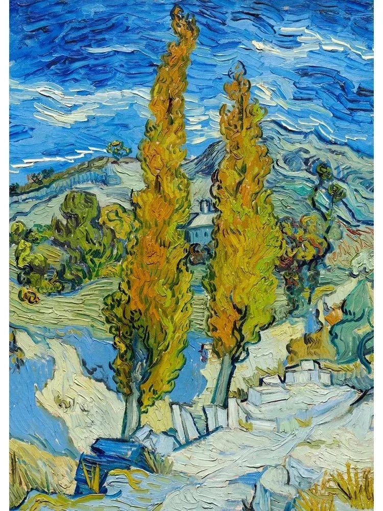 Vincent Van Gogh Classic Collection Art Poster Canvas Painting Terrace At Night Irises Wall Picture Print Living Room Home Decor Peaceful Pleasures Health and Wellness 30X40CM A8