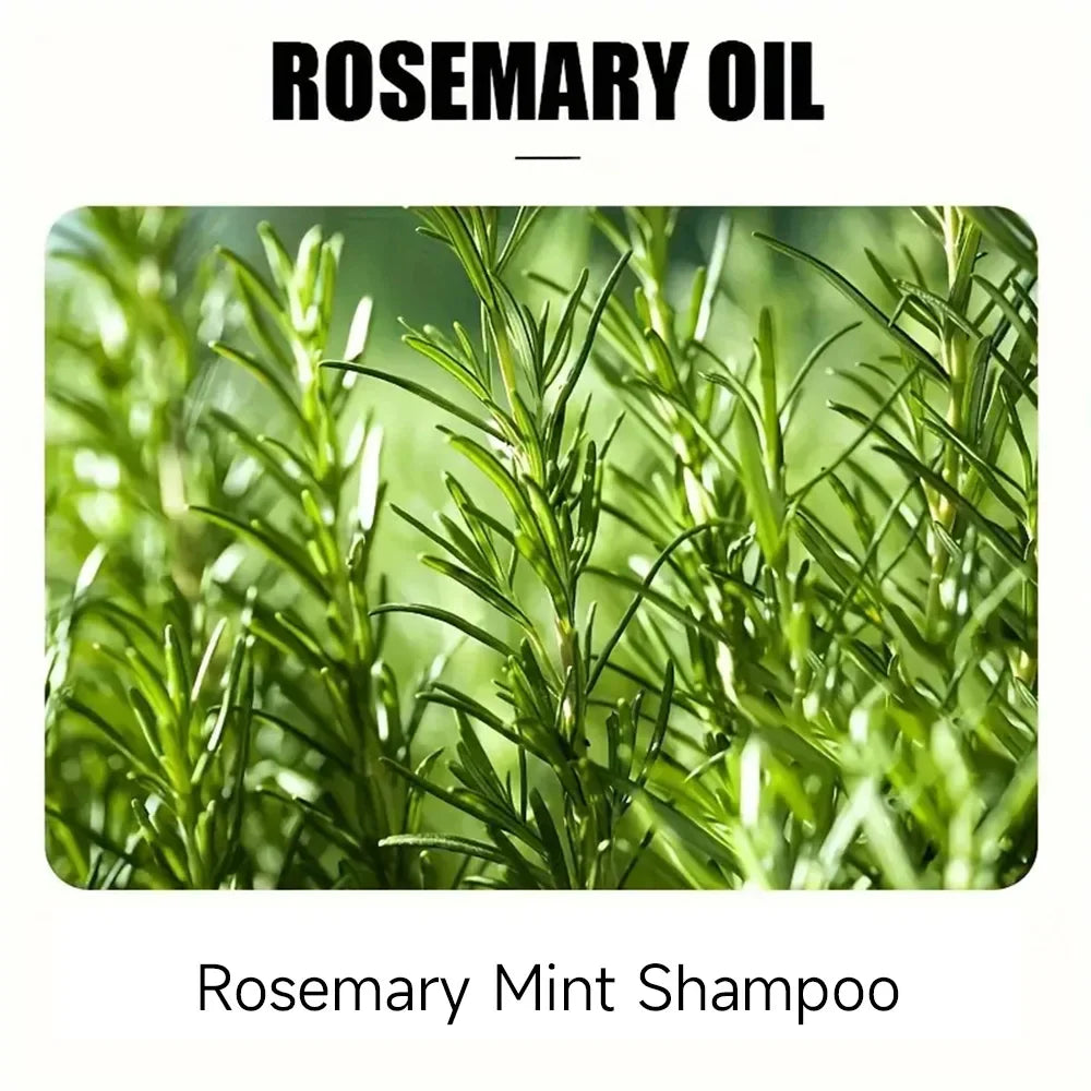 YOUNGCOME Rosemary Mint Hair Growth Oil & Film Treatment