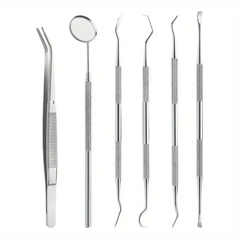 6-Piece Stainless Steel Dental Oral Care Kit | Tartar Removal Tools Dental Care Kit Peaceful Pleasures Health and Wellness