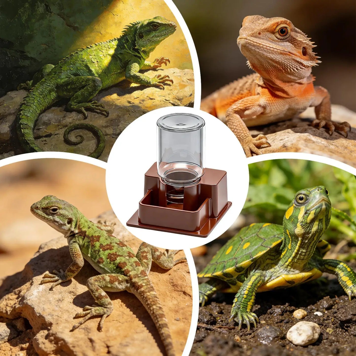 Automatic Reptile Water Dispenser & Feeder Bowl | Terrarium