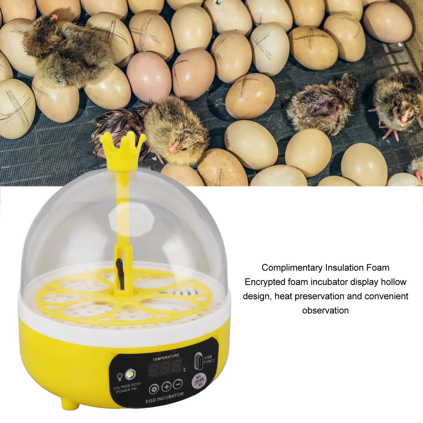 Digital Egg Candler Egg Incubator Noiseless Automatic Temperature Humidity Eggs Transparent Lid for Home Peaceful Pleasures Health and Wellness