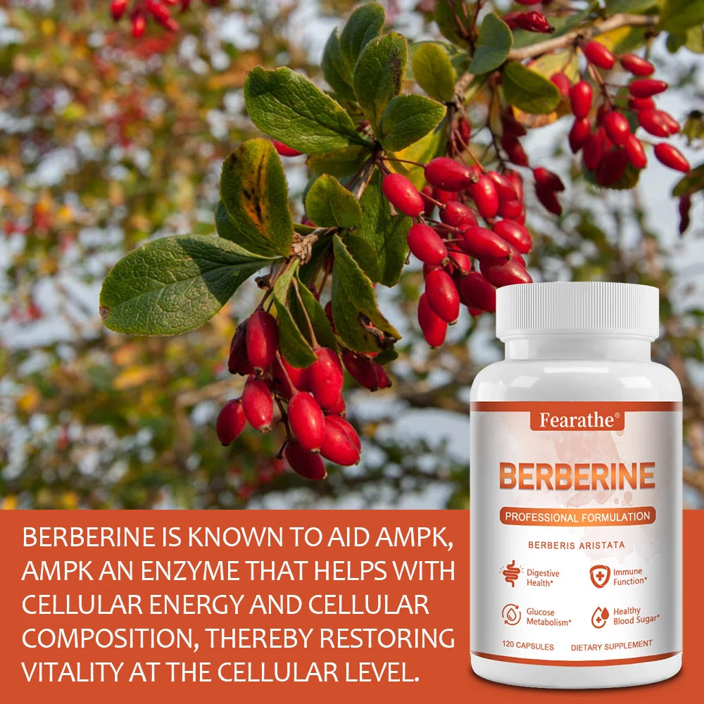 Premium Berberine - Supports Immune System, Weight Management, Digestive Health and GI Function Supplement, 120 Capsules Peaceful Pleasures Health and Wellness