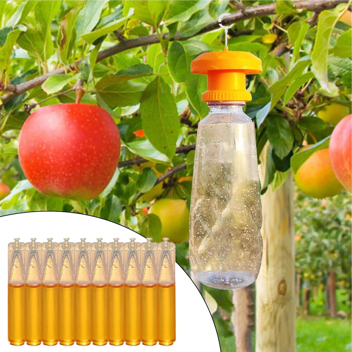 Fruit Fly Trap Refill Lures 10-Pack | Home & Garden Fly Control