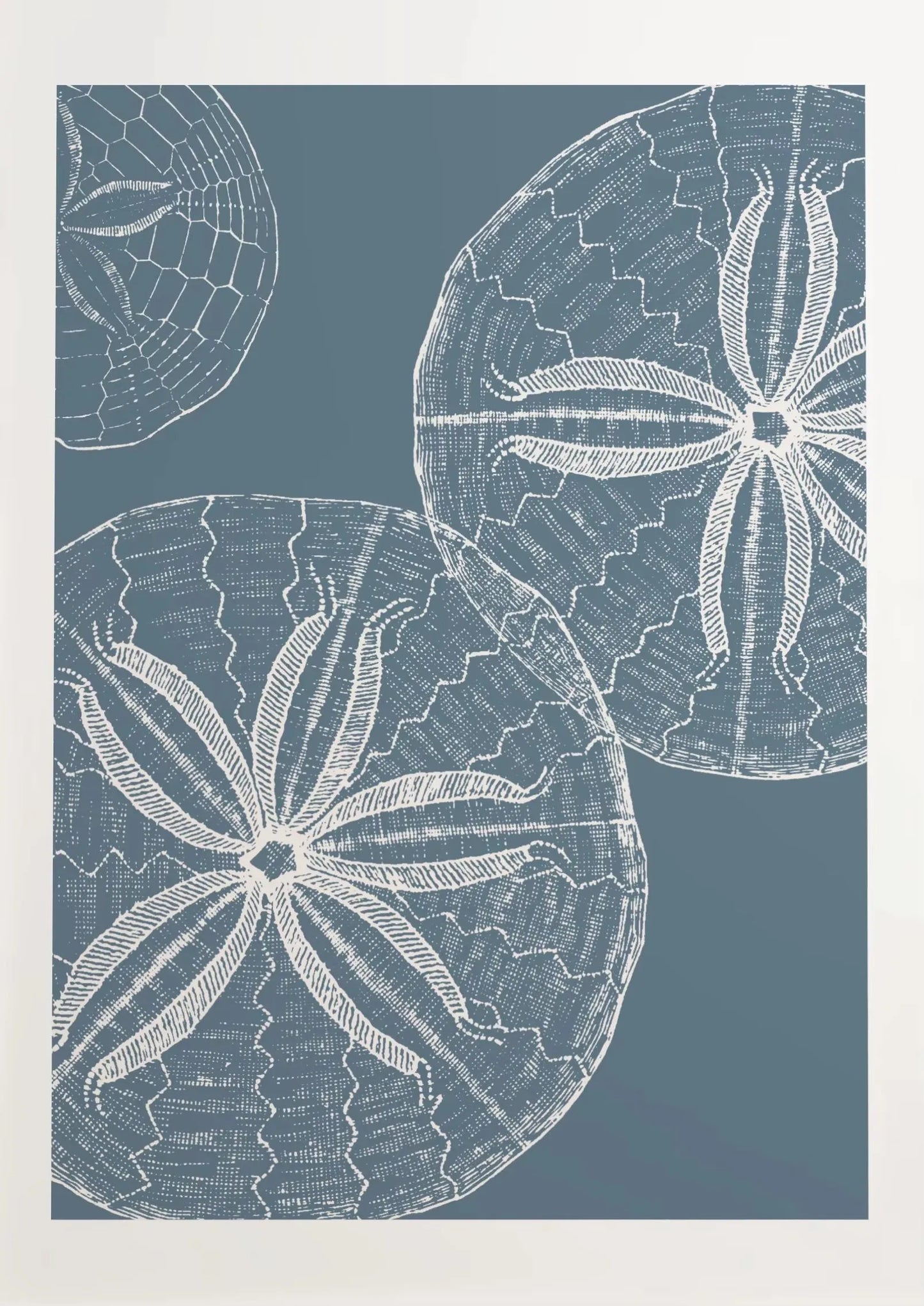 Blue Coastal Sketch Canvas Wall Art – Starfish Jellyfish Print