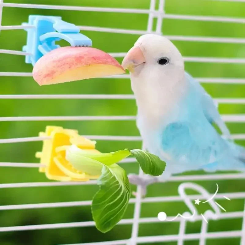 Bird Cage Food Clip Holder – Parrot Fruit & Veggie Feeder 2/4 Pack