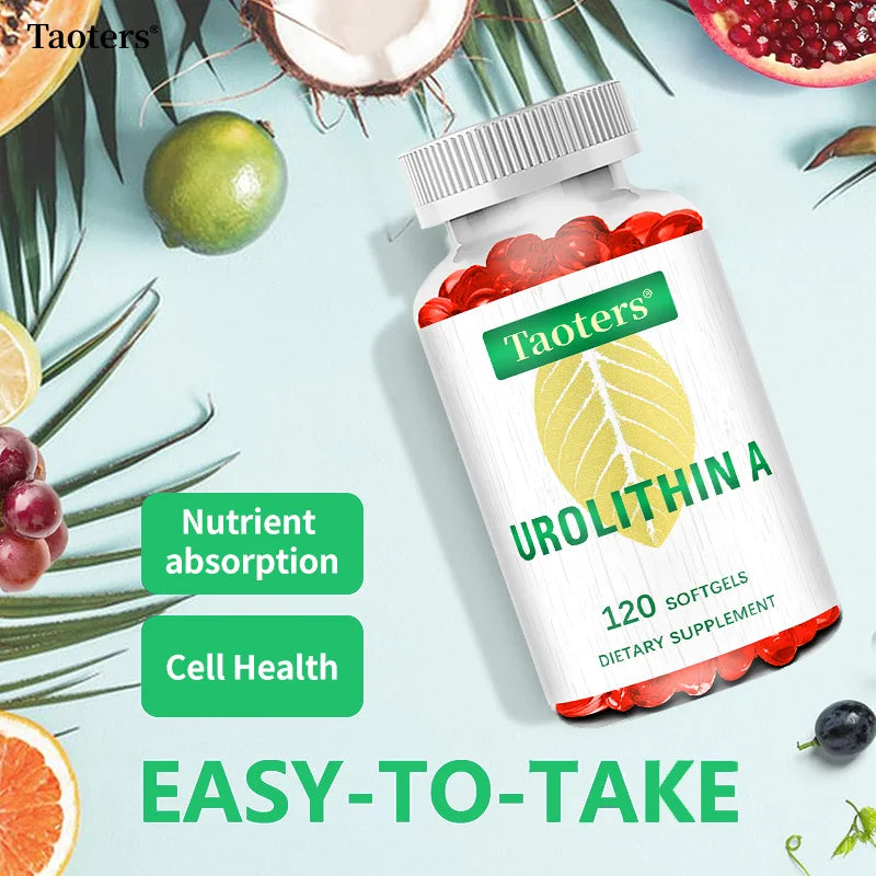 Urolithin A 2000mg – 120 Capsules for Cellular Health & Aging