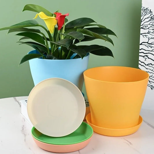 8-Pack Candy Color Round Plastic Plant Pots with Drainage Trays Plastic Plant Pots Oasis Select