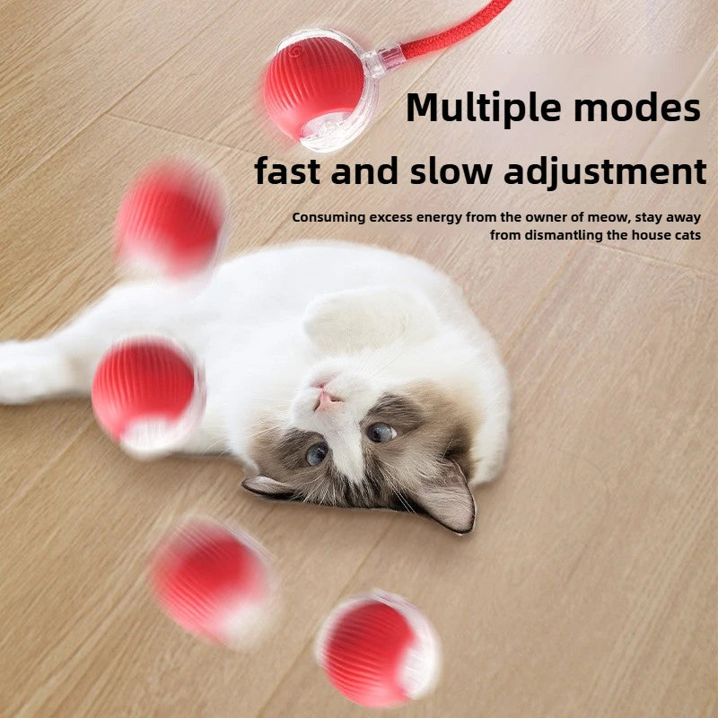 Smart Rechargeable Cat Toy Ball Automatic Rolling with Faux Tail Interactive Pet Play Training Toy for Cats Dogs Training Play Peaceful Pleasures Health and Wellness