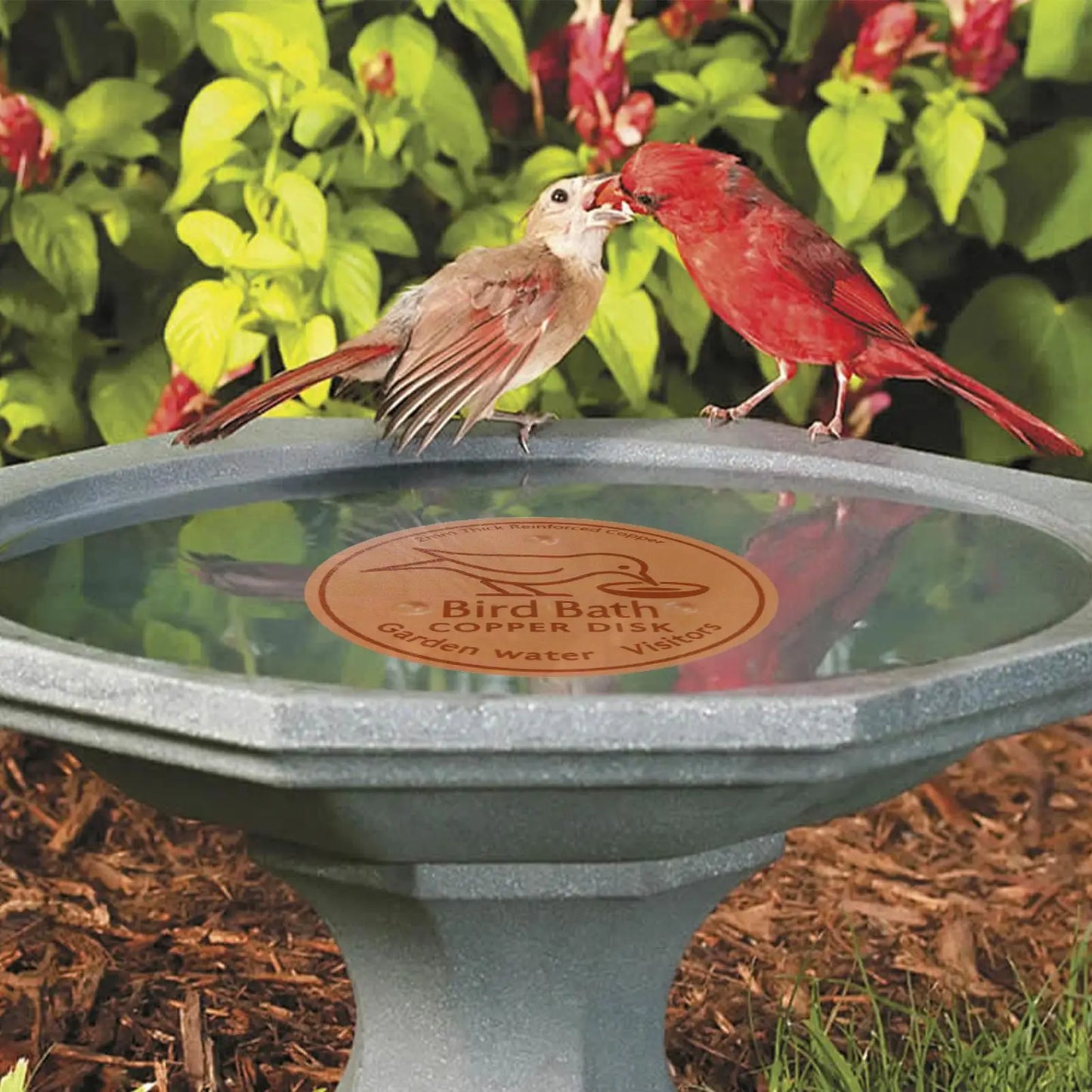 Copper Bird Bath Disk | Triple-Point Purifier Disc for Garden