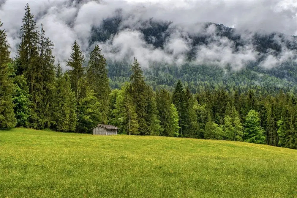 Dark Green Forest Fog Mountain Canvas Wall Art | Nature Poster