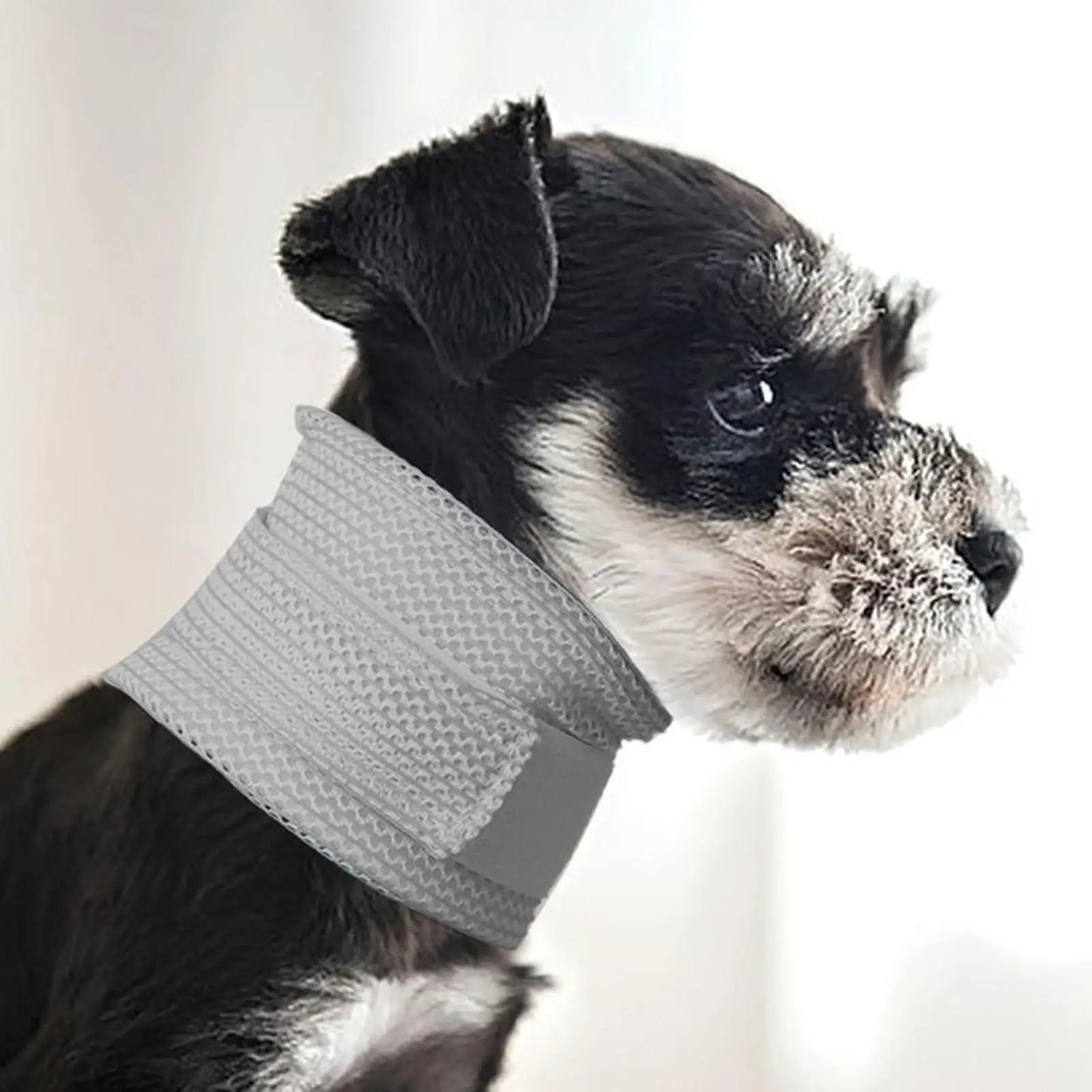 Breathable Pet Recovery Cone Collar for Cats & Dogs | Adjustable