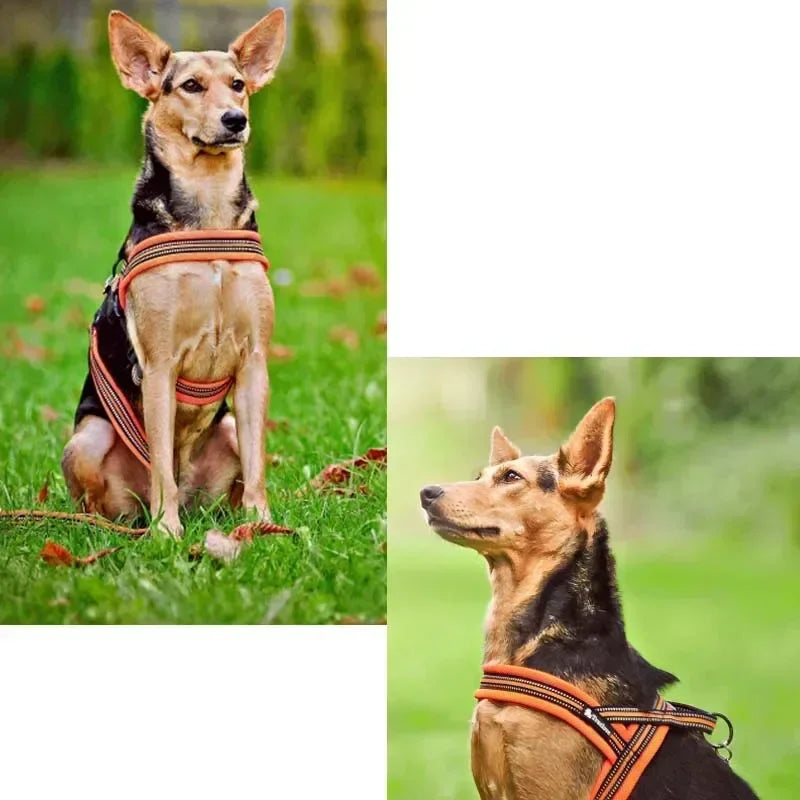 Truelove Soft Mesh Padded Nylon Dog Harness Vest 3M Reflective Security Dog Collar Easy Put on Pet Harness Pull-resistan TLH5811 Peaceful Pleasures Health and Wellness