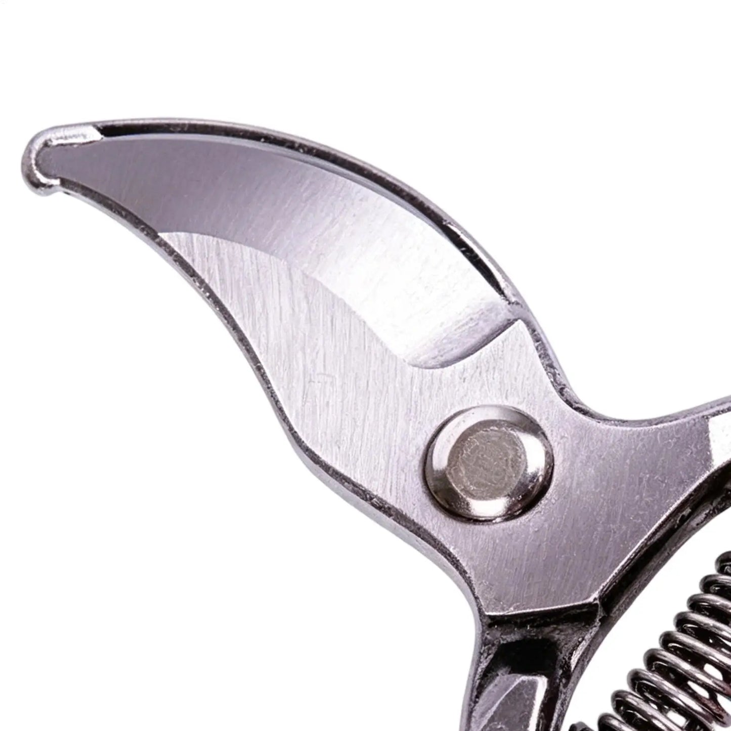 Stainless Steel Pruning Shears | Sharp Garden Hand Clippers