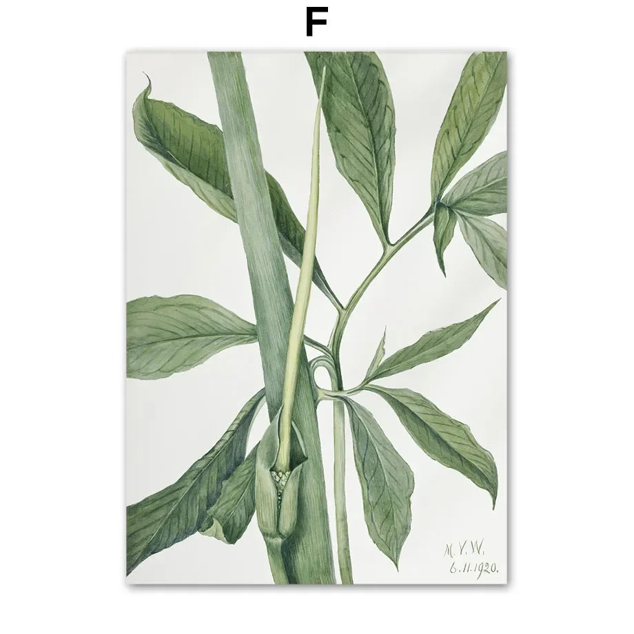 Sage Green Monstera Tropical Leaf Canvas Wall Art | Boho Print