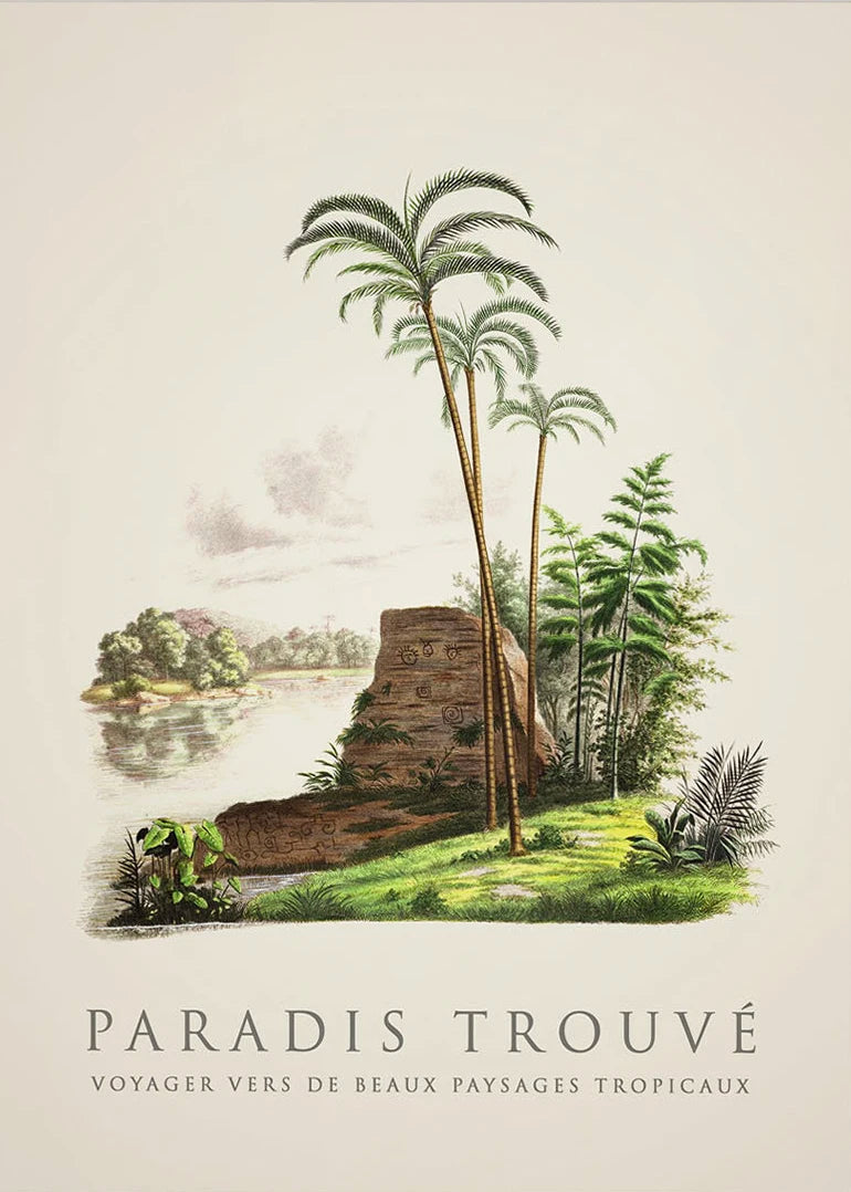 Tropical Palm & Banana Tree Vintage Botanical Canvas Wall Art Botanical Canvas Print Peaceful Pleasures Health and Wellness