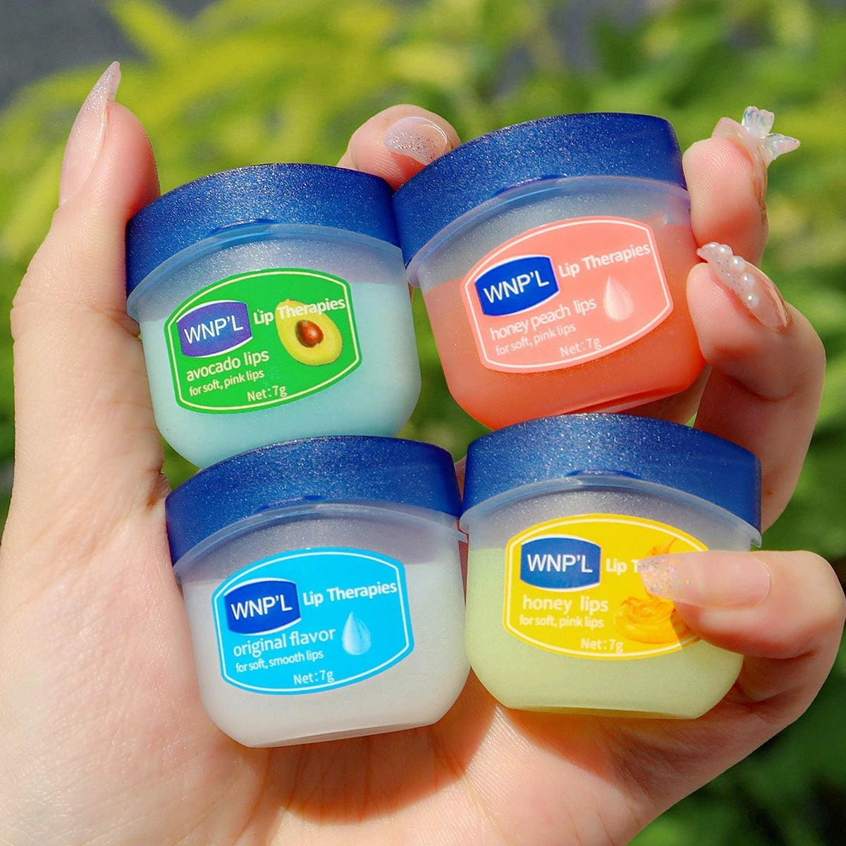 Natural Plant Lip Balm Set 6pcs – Moisturizing & Plumping