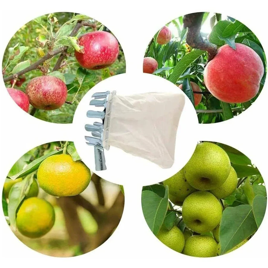 Adjustable Long Reach Fruit Picker Tool Harvest Collector for Apple Cherry Berry Gardening Supplies Farm Orchard Peaceful Pleasures Health and Wellness