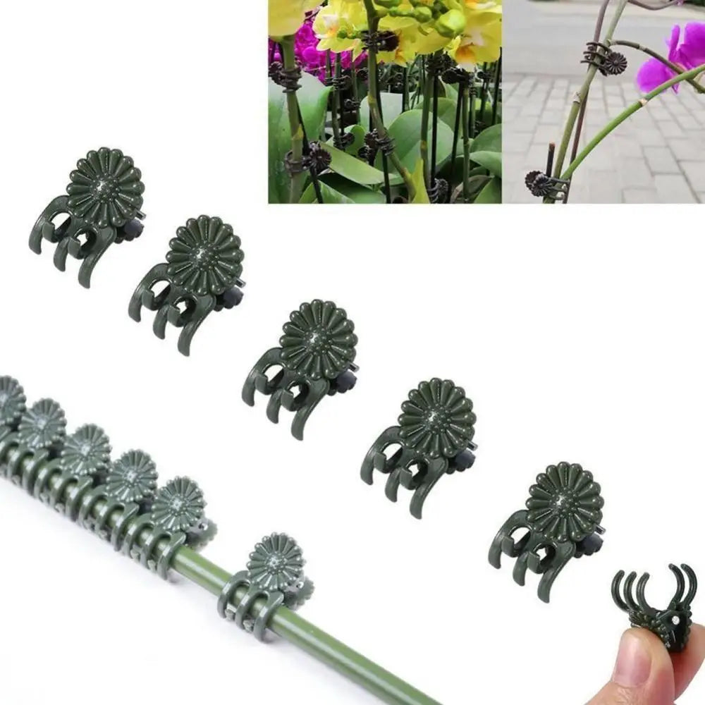 50-Pack Plant Support Clips – Vine, Orchid & Stem Clamps