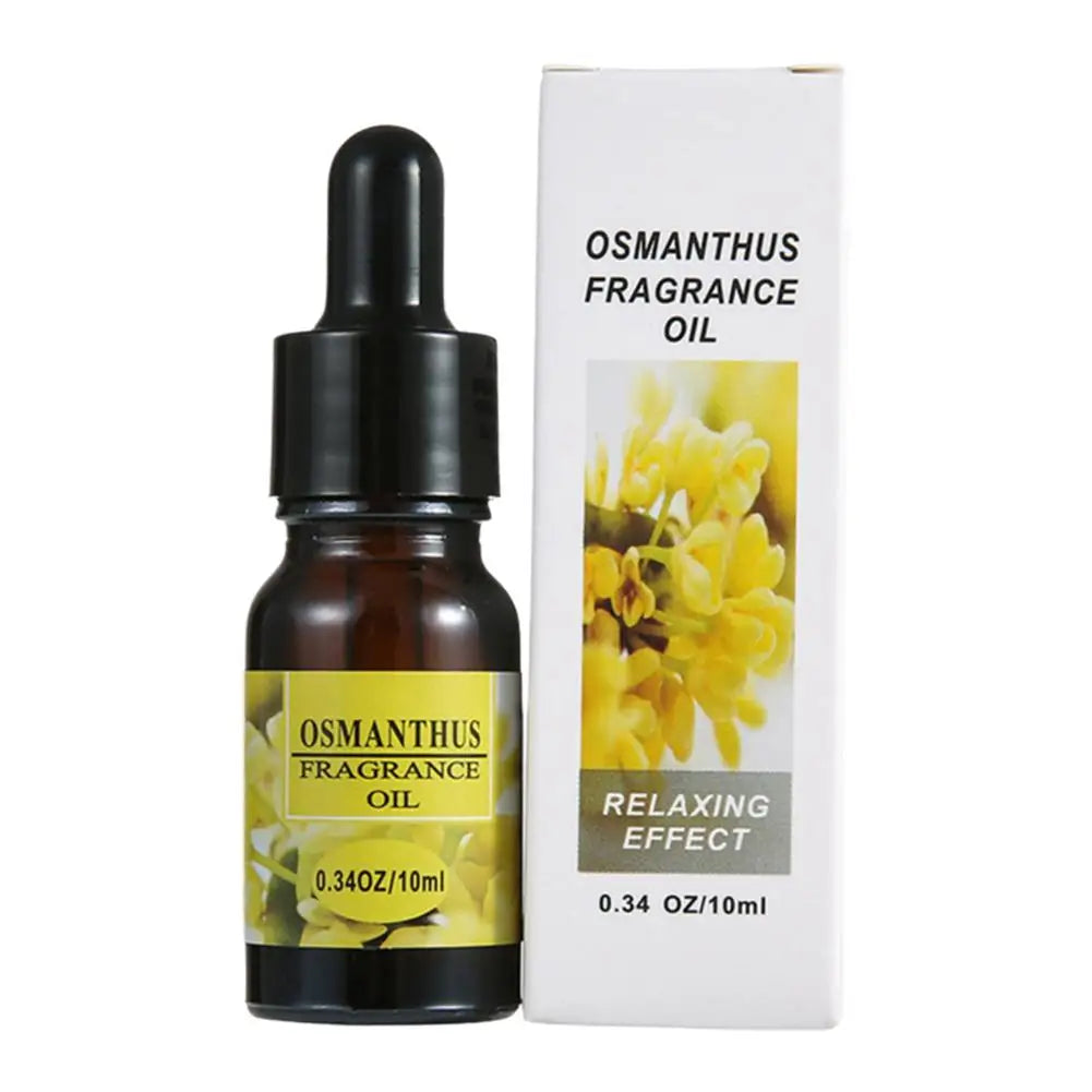 Car & Home Aromatherapy Refill Oil 10ml with Dropper | Air Freshener
