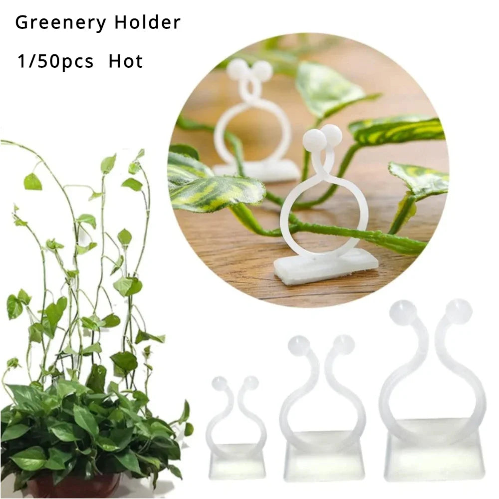 Self-Adhesive Plant Wall Clips – Vine Climbing Fixator 1-50 Pcs
