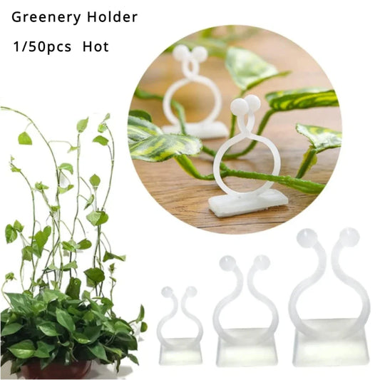 Self-Adhesive Plant Wall Clips – Vine Climbing Fixator 1-50 Pcs Plant Wall Clips Peaceful Pleasures Health and Wellness