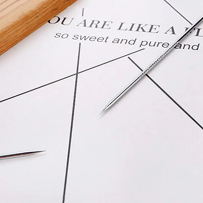 Acne Removal Needles Delicate Portable Stainless Steel Pick Blackhead