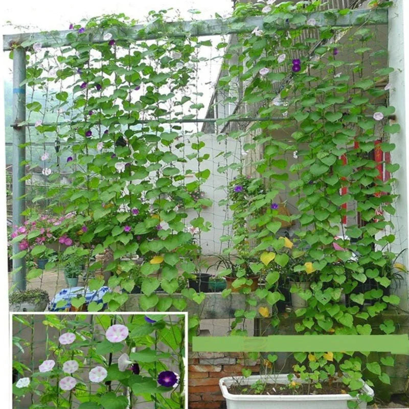 Heavy Duty Trellis Netting for Climbing Plants & Vegetables