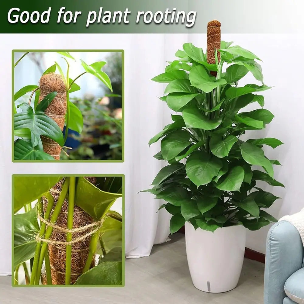 1Pcs Coconut Shell Moss Palm Cane Coir Totem Poles Gardening Coconut Rod Stretch Plant Climbing Frame Bendable 60/110cm Peaceful Pleasures Health and Wellness