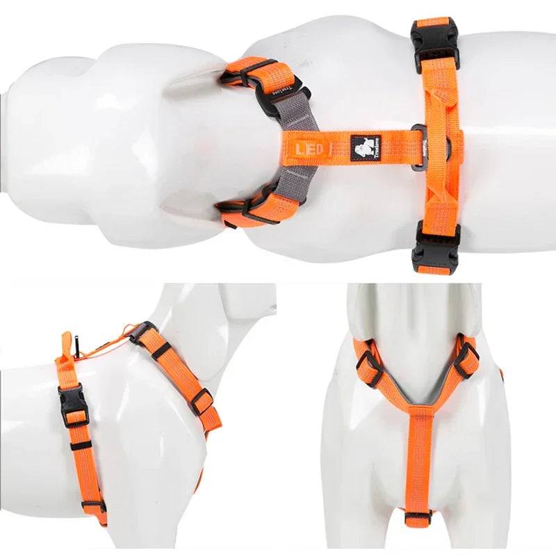Truelove Pet Harness Adjustable Reflective Nylon with Collar Leash LED Light Neoprene Padded Hiking Running TLH6171 Dropshipping Peaceful Pleasures Health and Wellness