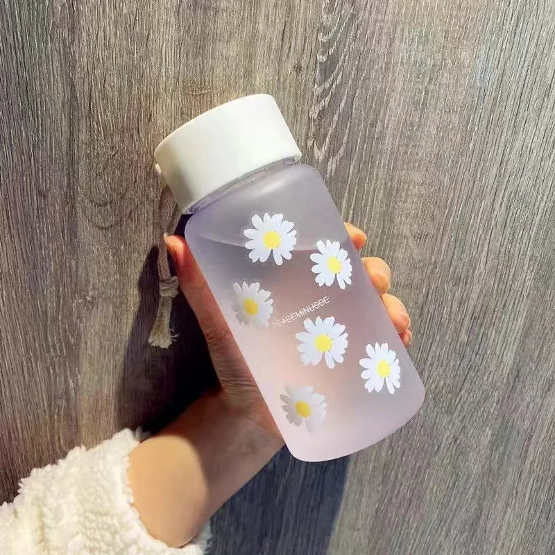Kawaii Frosted Transparent Water Bottle | Portable Insulated Cup