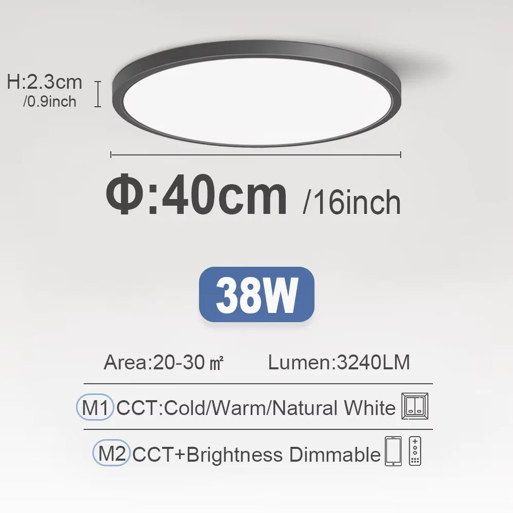 RUNTOIN Dimmable LED Flush Mount Ceiling Light | Ultrathin