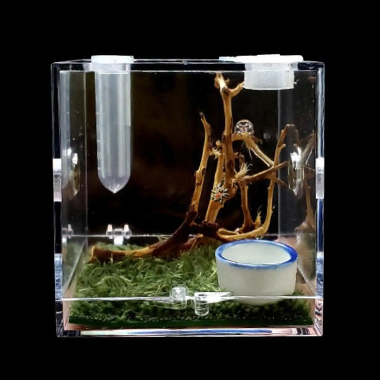 Small Reptile Feeding Box for Breeding and Feeding Insects Peaceful Pleasures Health and Wellness