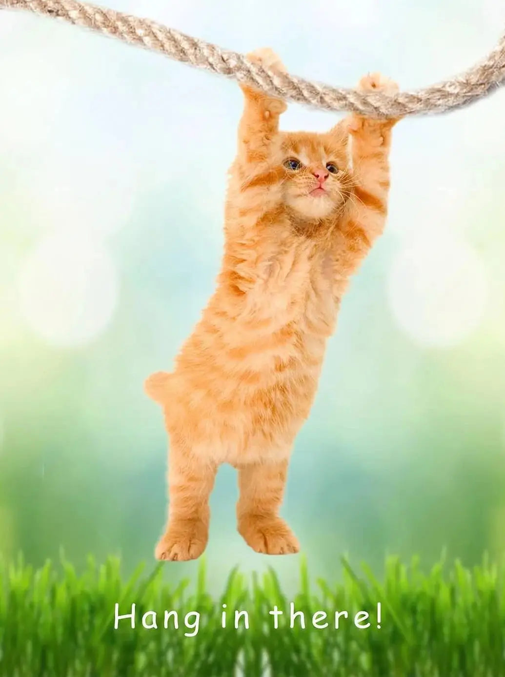 Cute Cat Yoga Canvas Wall Art | Hang In There Pet Poster