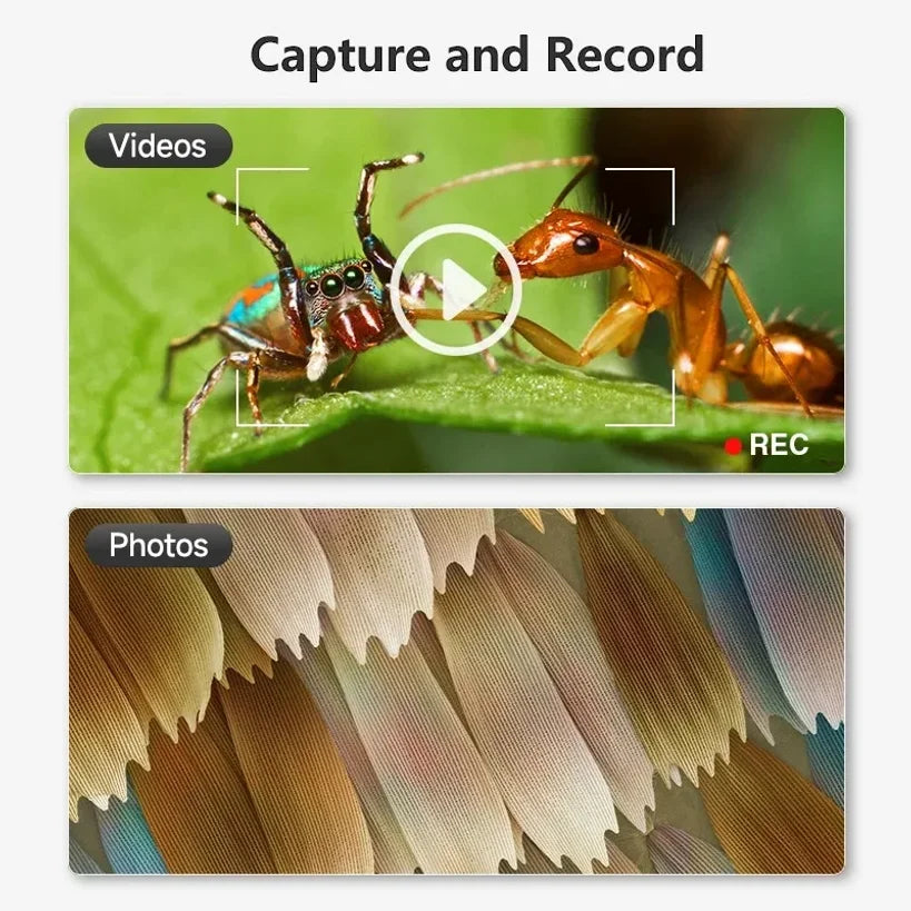 1600X USB Digital Microscope 1080P HD – 8 LEDs, PC & Android