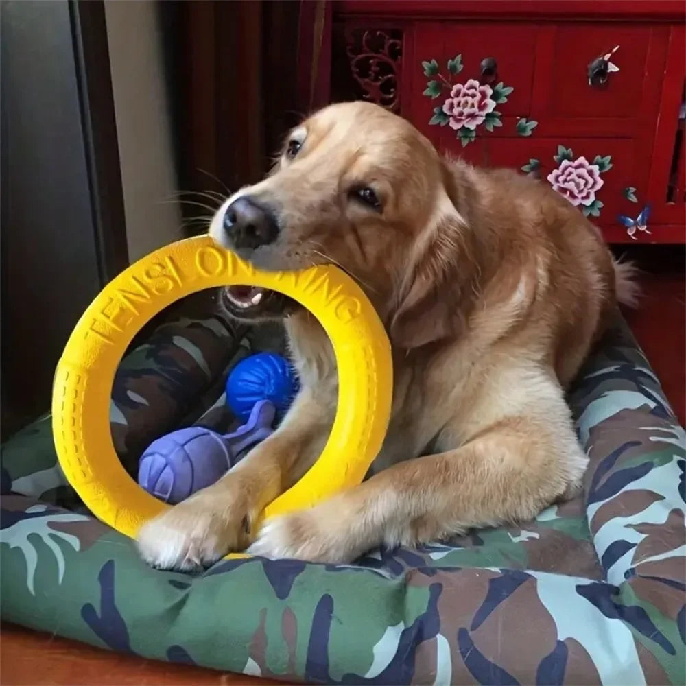 Dog Toys Pet Flying Disk Training Ring Puller Anti-Bite Floating Interactive Supplies Dog Toys Aggressive Chewing Toy dog stuff Peaceful Pleasures Health and Wellness
